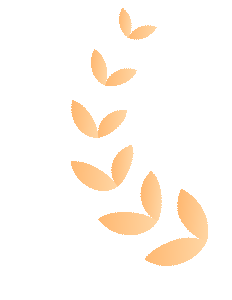 喜报|合肥33474蒙特卡罗成功入选合肥市重点产业链企业 喜报|合肥33474蒙特卡罗成功入选合肥市重点产业链企业